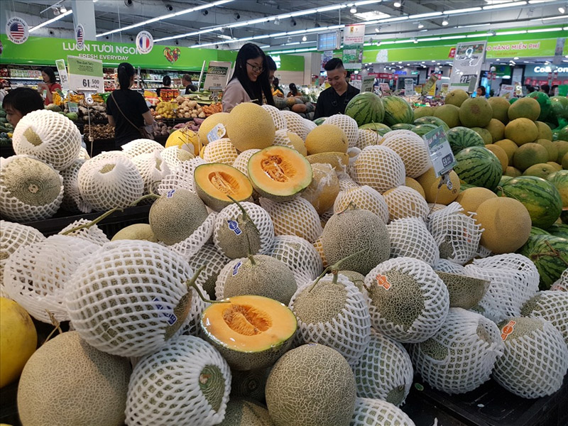 Thị trường dưa lưới ngày càng phát triển rộng khắp