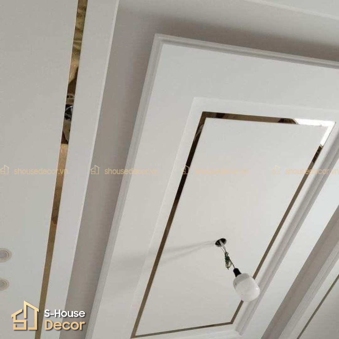 co-da-dang-mau-ma-kich-thuoc-khac-nhau