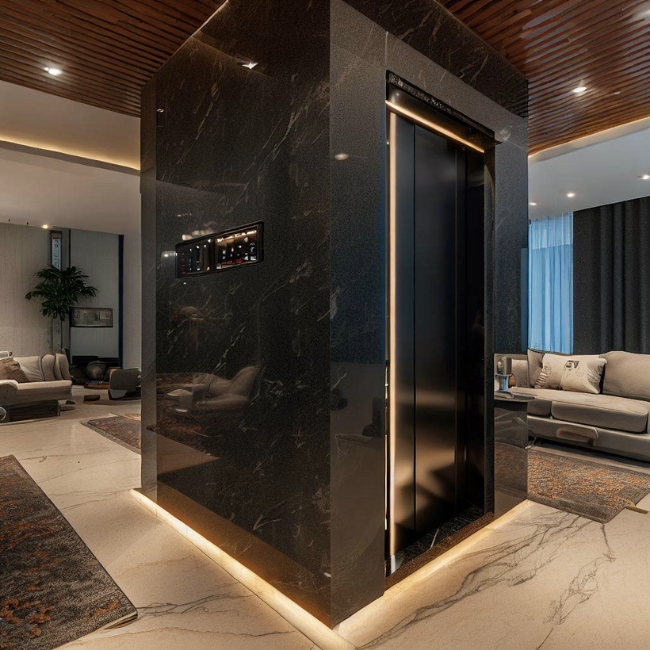 Ảnh một thang máy gia đình Mitsubishi được ốp đá cẩm thạch marble hiện đại và thanh lịch trong phòng khách
