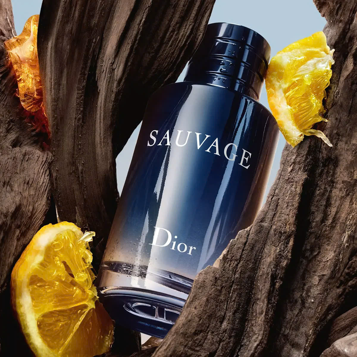 Dior Sauvage EDT
