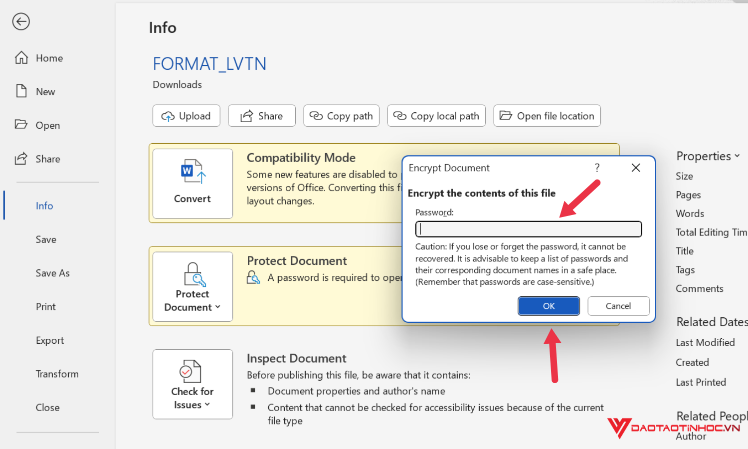 Cách gỡ bỏ mật khẩu đã đặt cho file Word - Bước 3