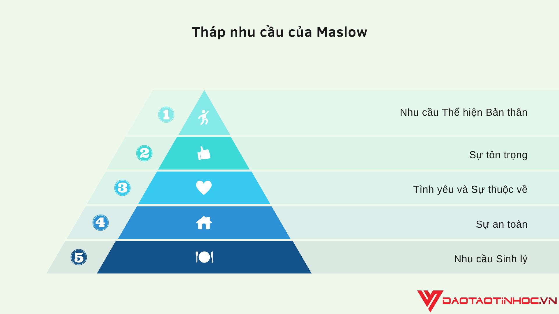 Biểu đồ kim tự tháp (Pyramid)