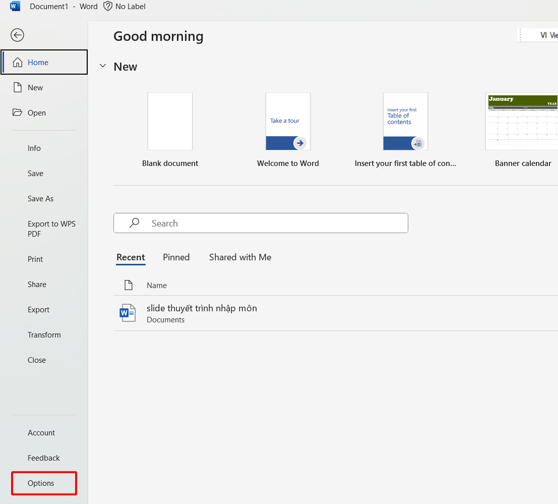 Cách bỏ gạch đỏ trong Word bằng Options