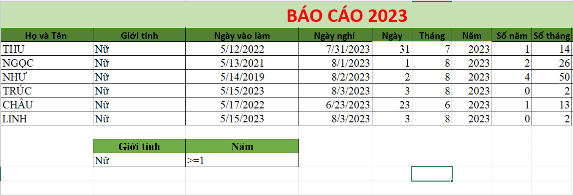 Cách lọc dữ liệu trong Excel nâng cao 3