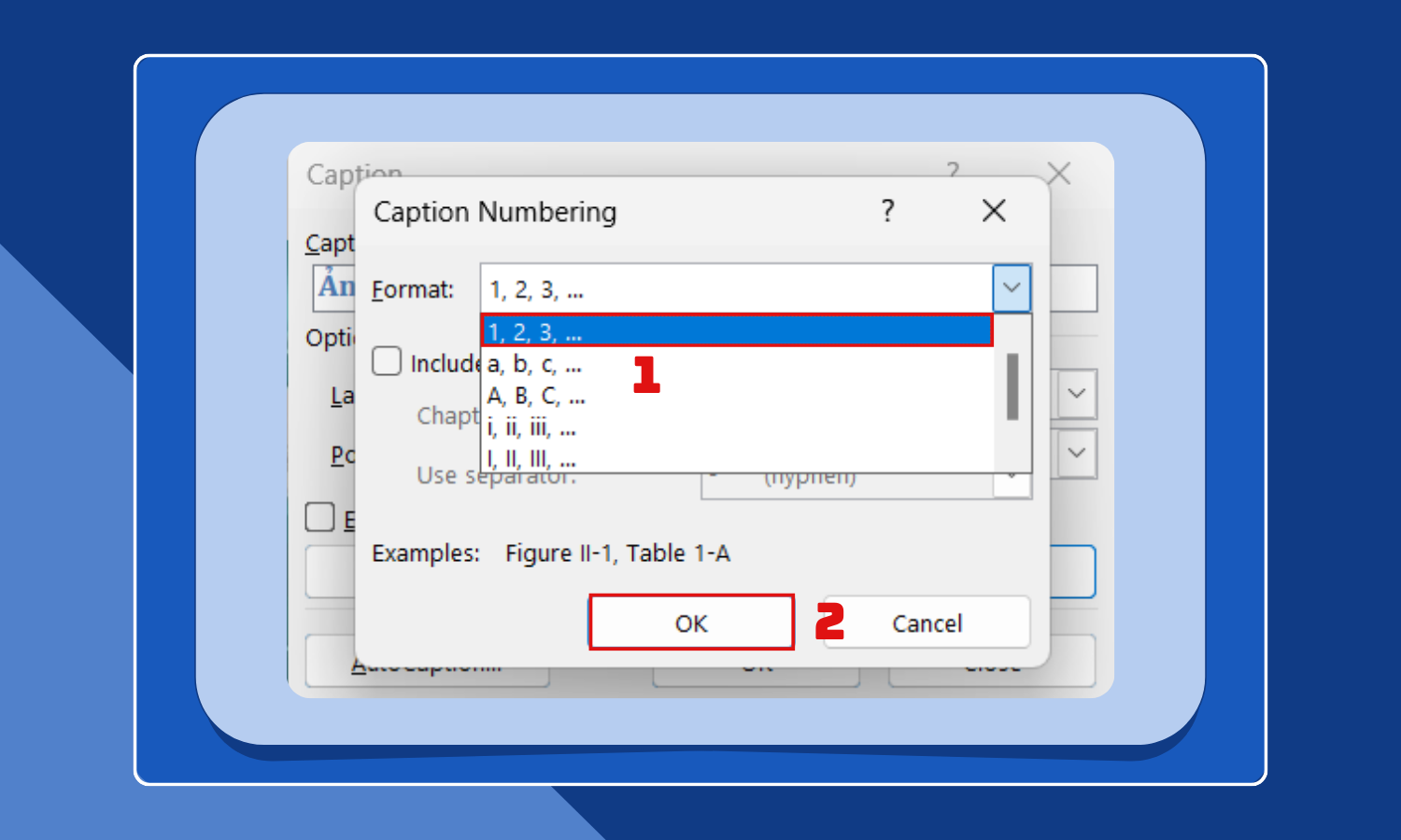Chọn kiểu định dạng số cho hình ảnh