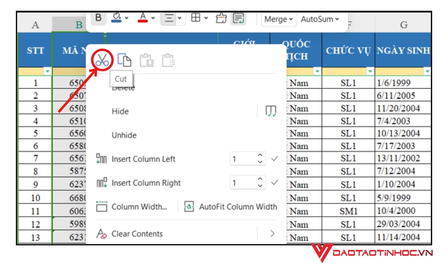 Đổi vị trí cột trong Excel bằng Cut & Insert - Bước 1, 2