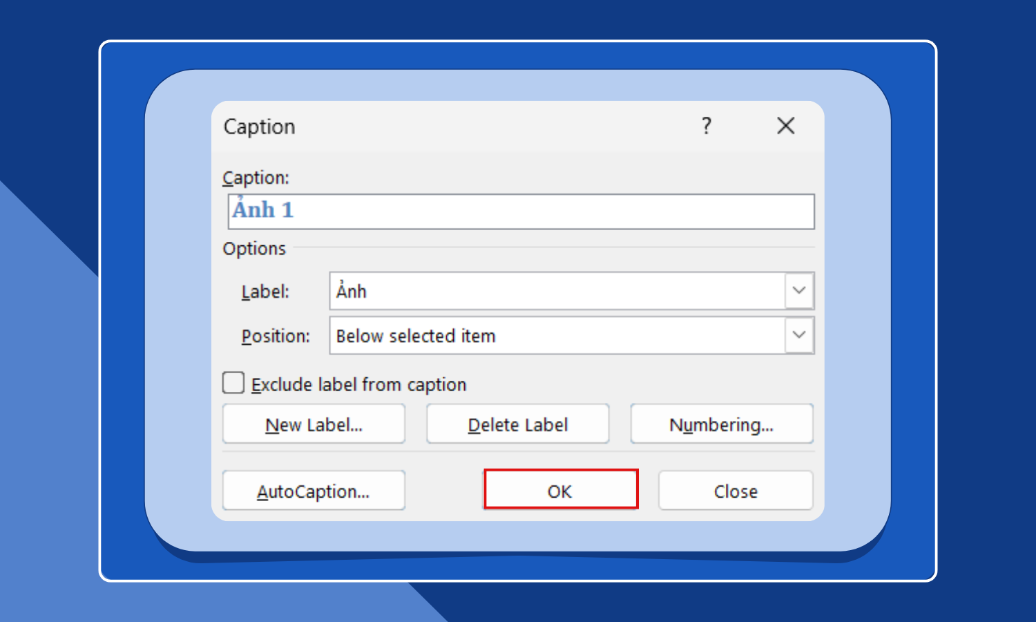 hoàn tất thêm chú thích hình ảnh