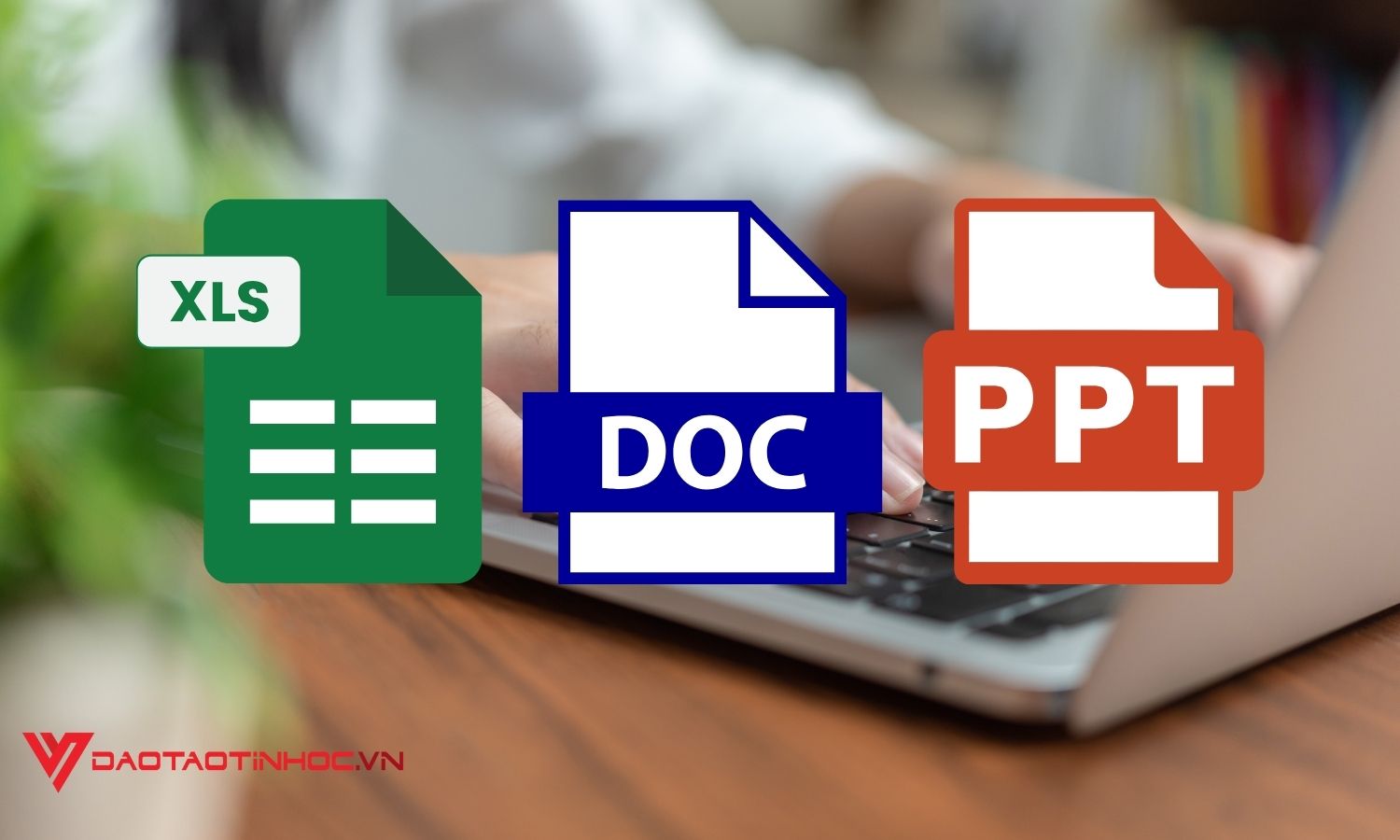 Học tin học văn phòng