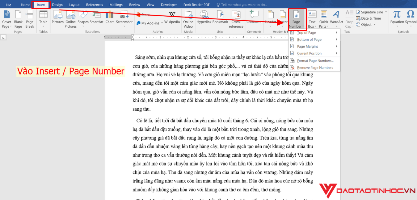 Chọn insert > Page number