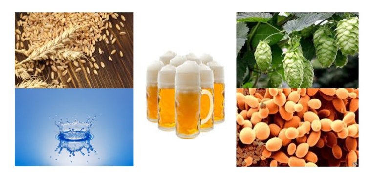 nguyên liệu sản xuất bia