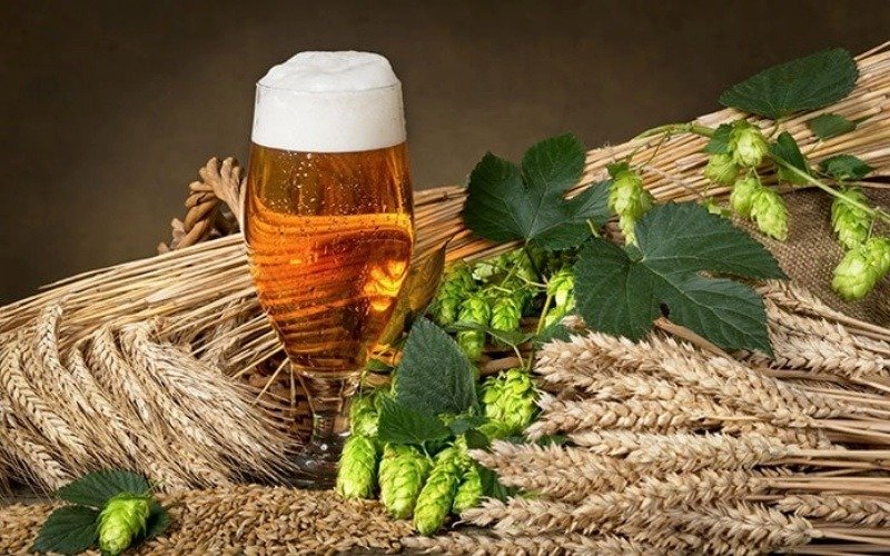 nguyên liệu sản xuất bia