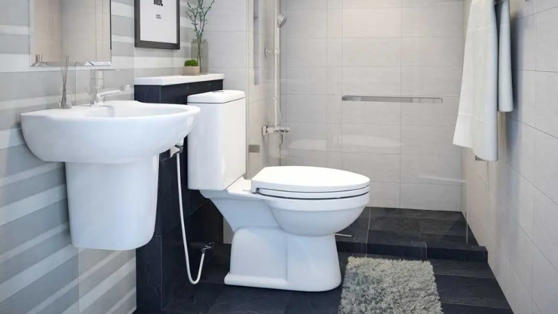 Những vấn đề quen thuộc khiến việc vệ sinh toilet trở thành nỗi ám ảnh