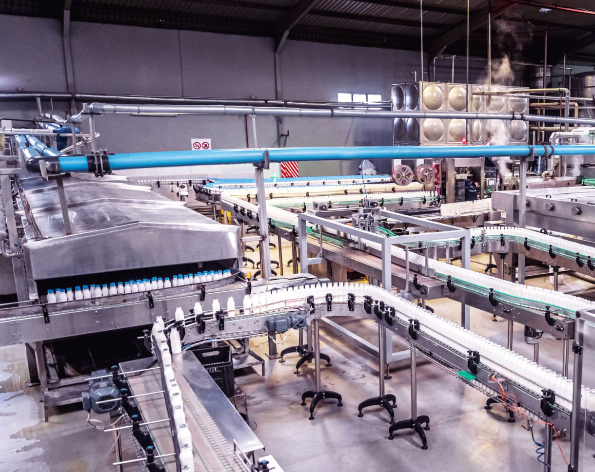 Băng tải trong công nghiệp