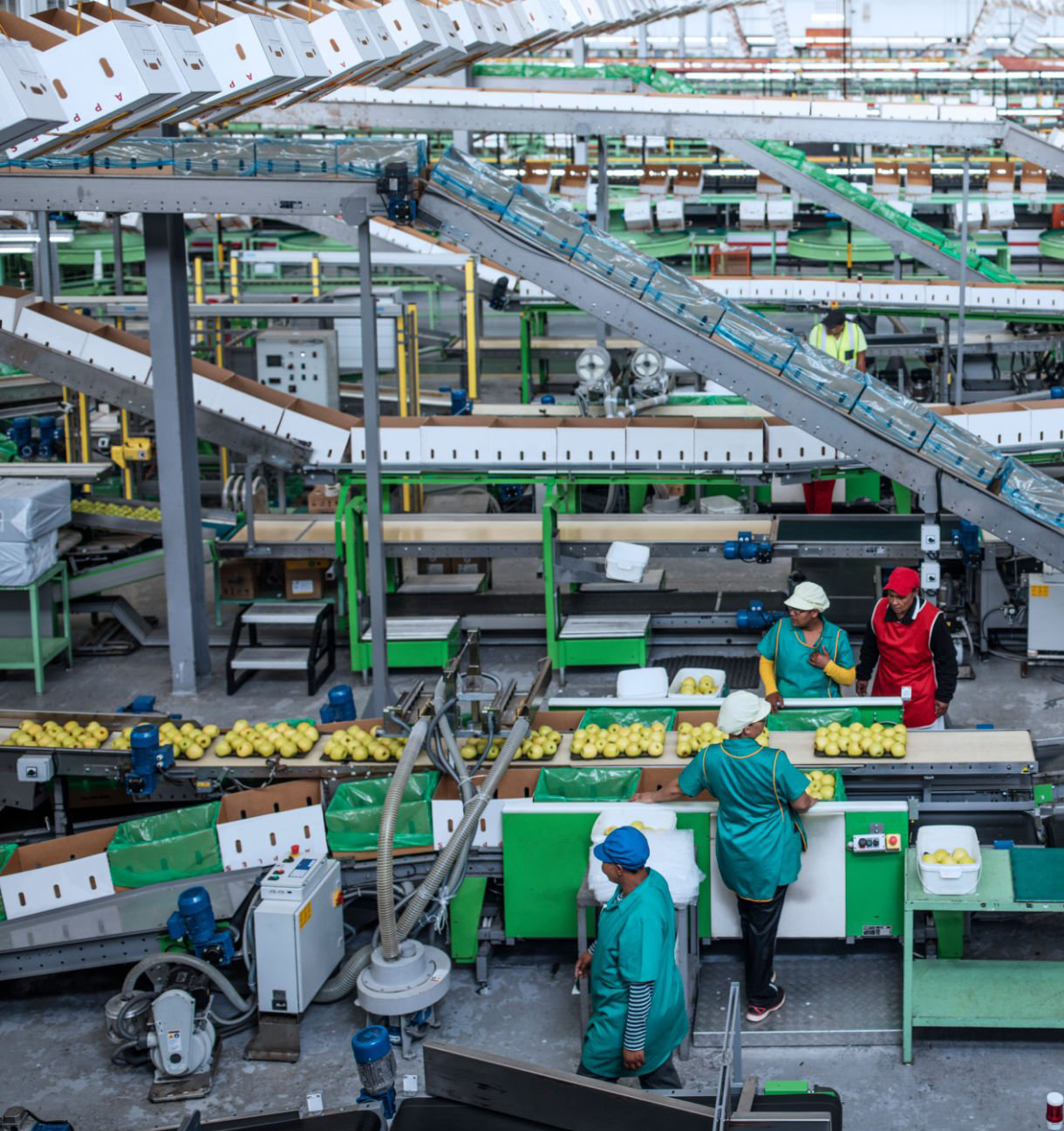 Băng tải trong công nghiệp