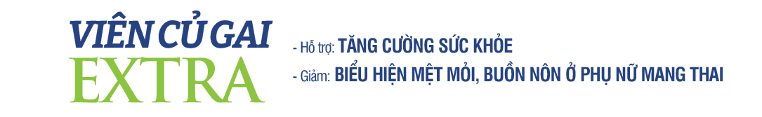 Viên Củ Gai Extra