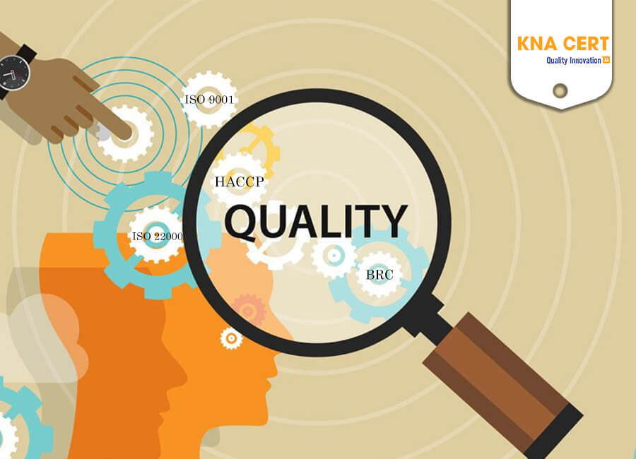 Áp dung các tiêu chuẩn vào việc quản lý chất lượng của công ty