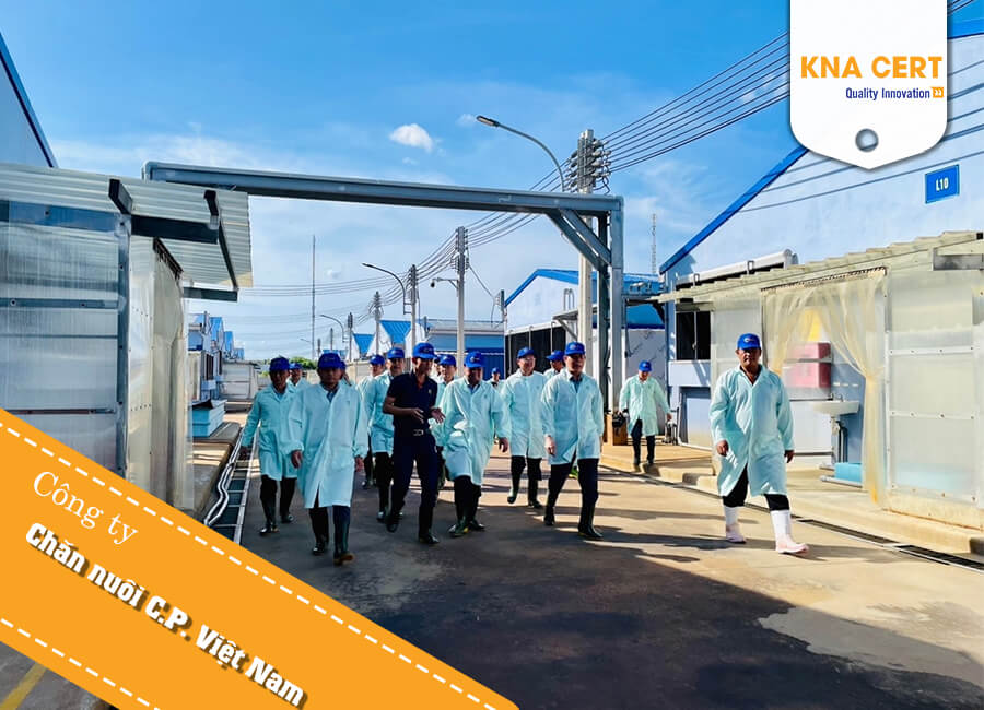 Chi nhánh Công ty Cổ phần Chăn nuôi C.P. Việt Nam – Nhà máy Chế biến Sản phẩm Thịt Hà Nội