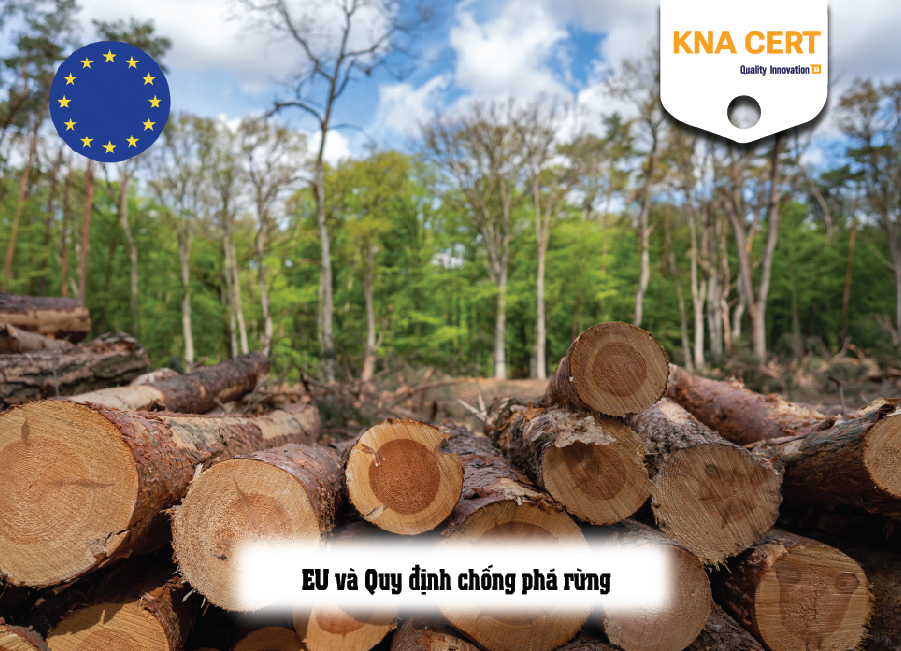EU và Quy định chống phá rừng