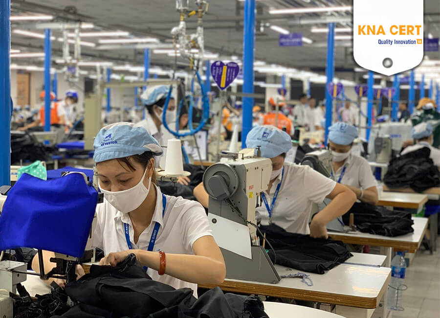 Khảo sát thực trạng là bước vô cùng quan trọng trong việc áp dụng ISO 45001