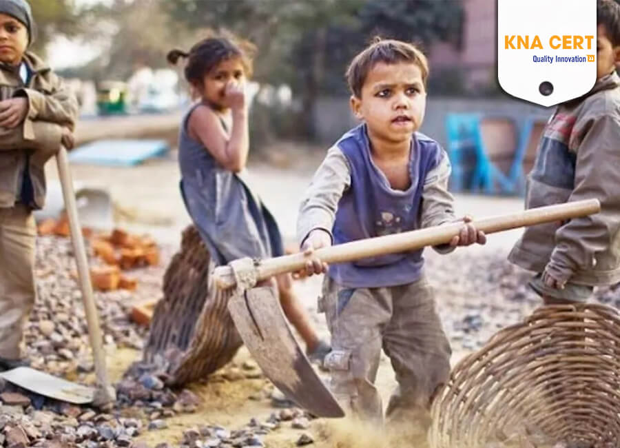 Một trong những nội dung của tiêu chuẩn Walt Disney ILS là không sử dụng lao động trẻ em