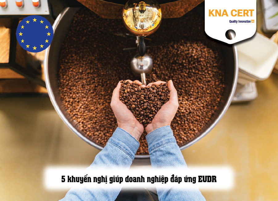 5 khuyến nghị giúp doanh nghiệp đáp ứng EUDR