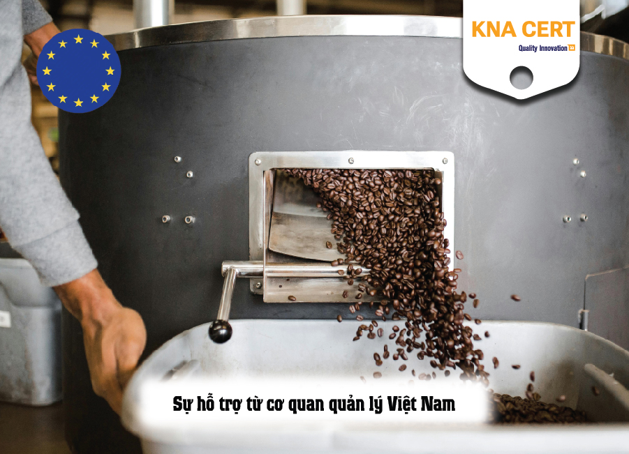 Sự hỗ trợ từ cơ quan quản lý Việt Nam