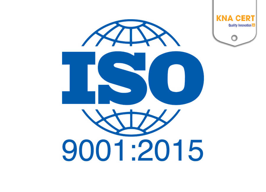 Sử dụng các tiêu chuẩn để kiểm tra