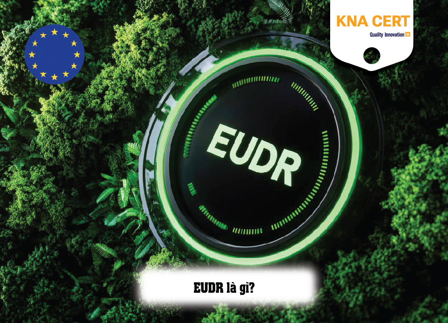 Tiêu chuẩn EUDR là gì