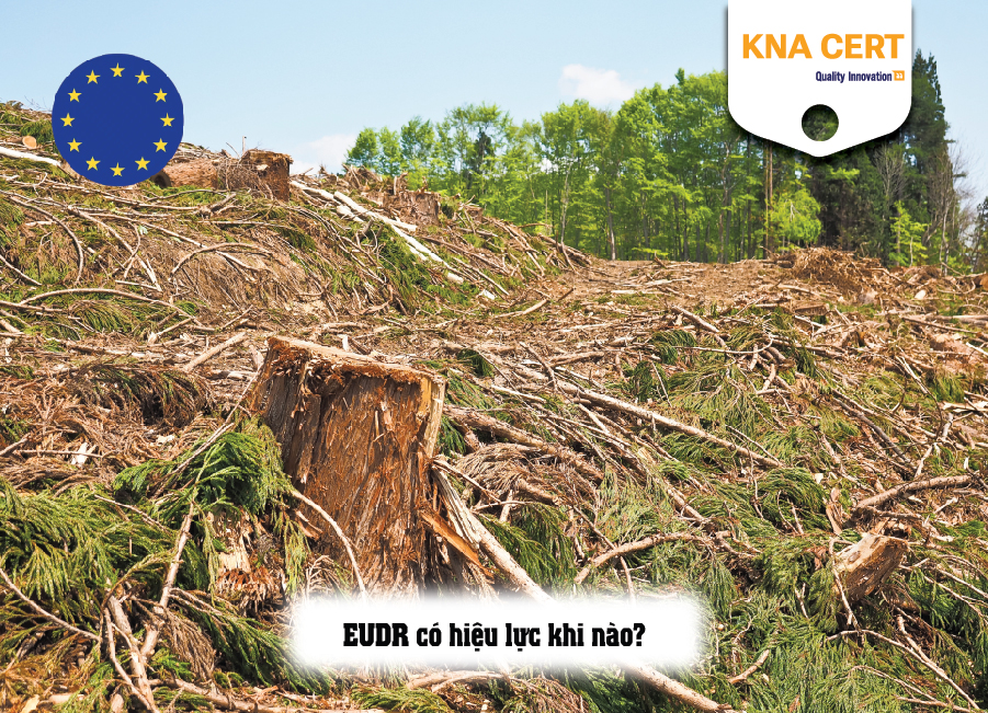 Hiệu lực của quy định EUDR