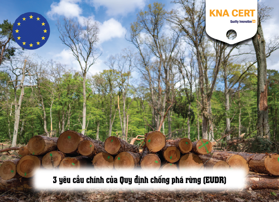 Các yêu cầu chính của Quy định chống phá rừng EUDR