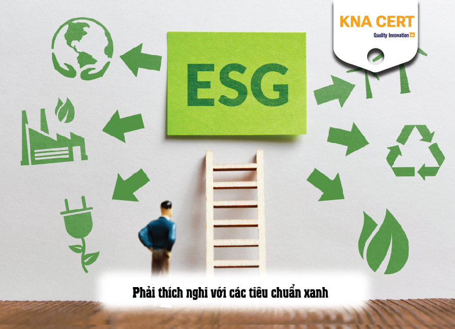 Phải thích nghi với các tiêu chuẩn xanh