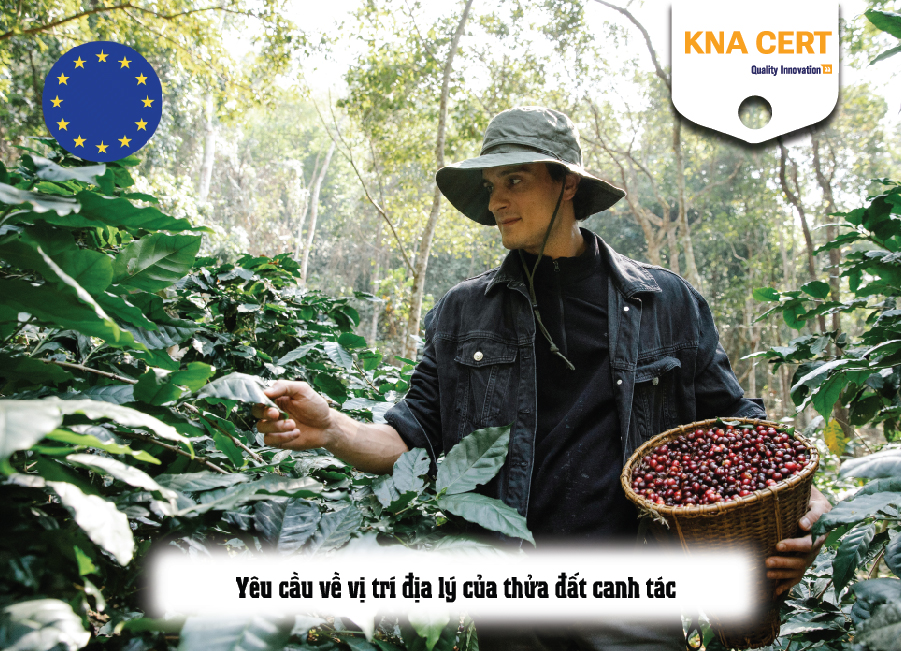 Yêu cầu về vị trí địa lý của thửa đất canh tác