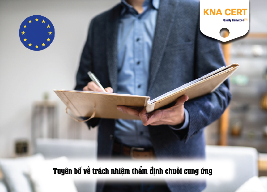 Tuyên bố về trách nhiệm thẩm định chuỗi cung ứng (DDS - Due Diligence Statement)