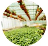 Đội ngũ chuyên gia