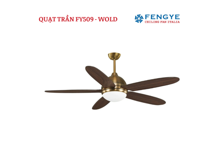 Mẫu quạt trần FY509 - GOLD - Quạt trần 5 cánh độc đáo