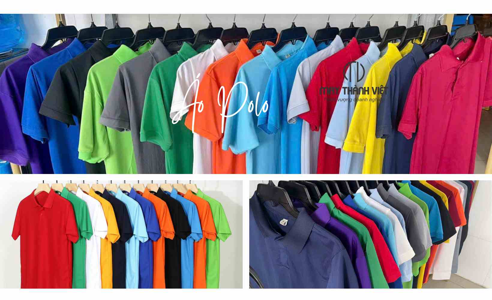 áo thun cá sấu trơn