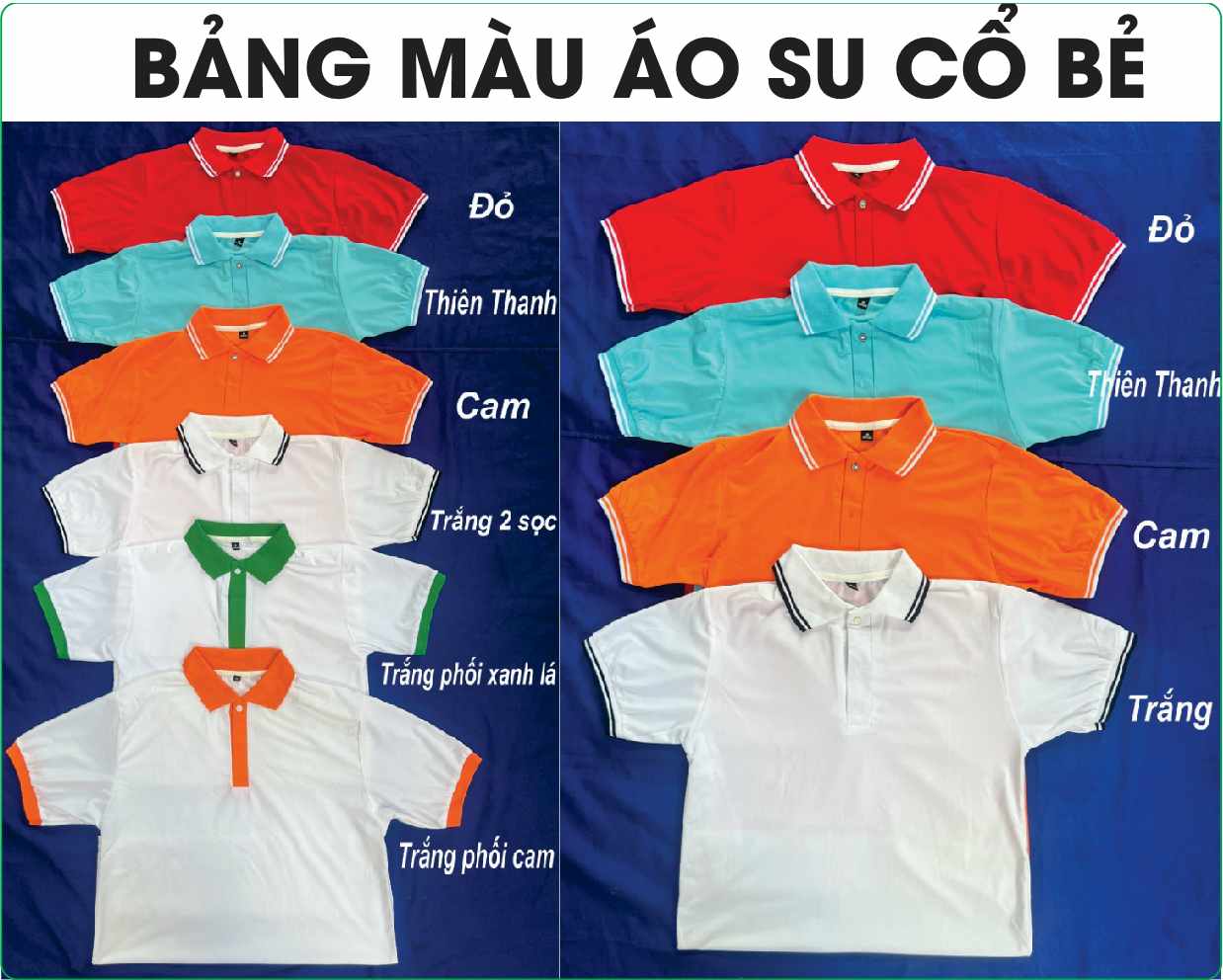 áo thun trắng trơn có cổ
