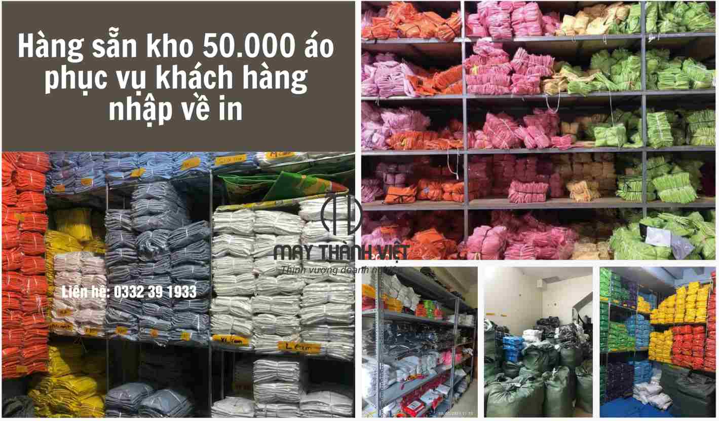 mua áo phông trơn