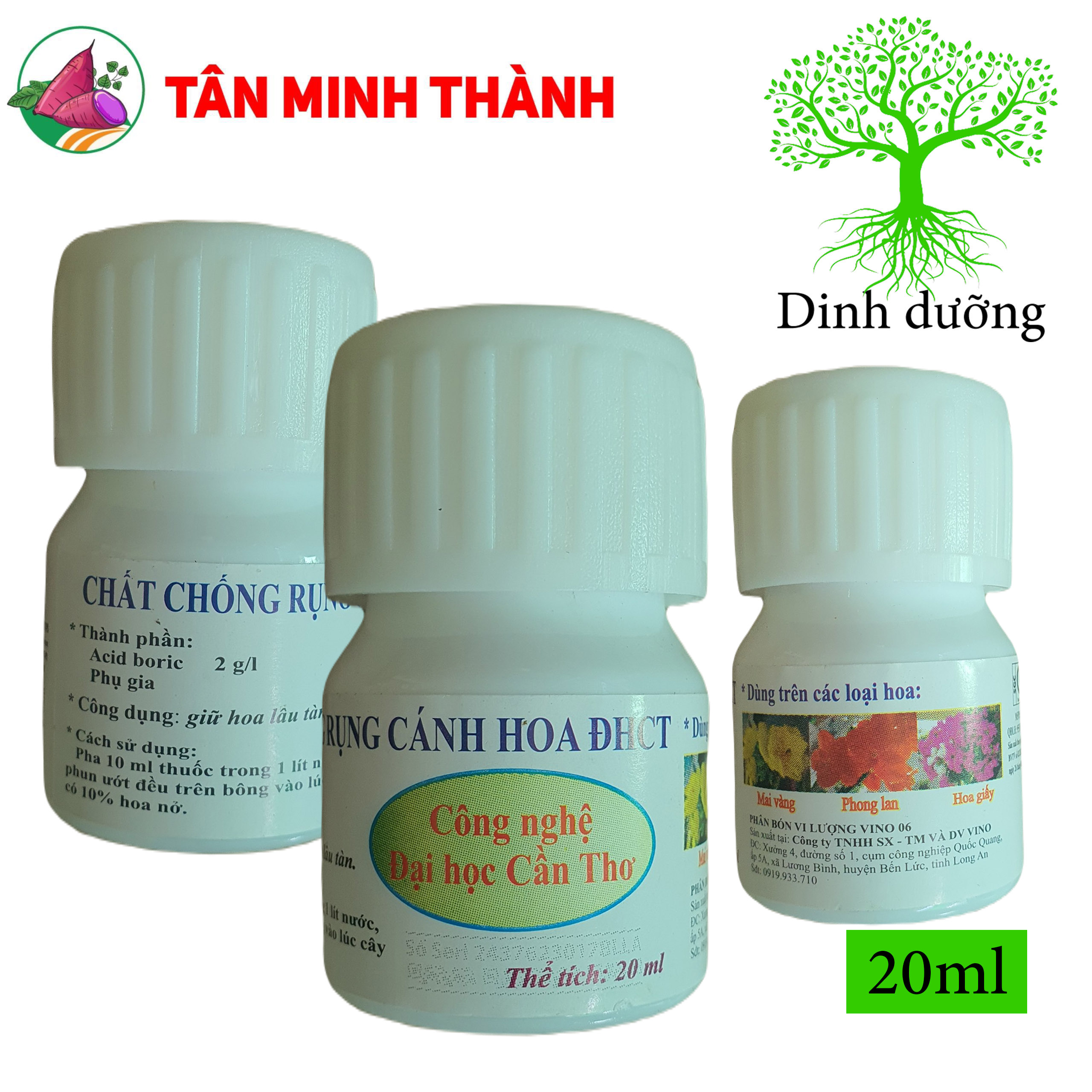 Chất Chống Rụng Cánh Hoa - Đại Học Cần Thơ - Thuốc giữ hoa lâu tàn, dùng cho hoa mai vàng, hoa lang, hoa giấ