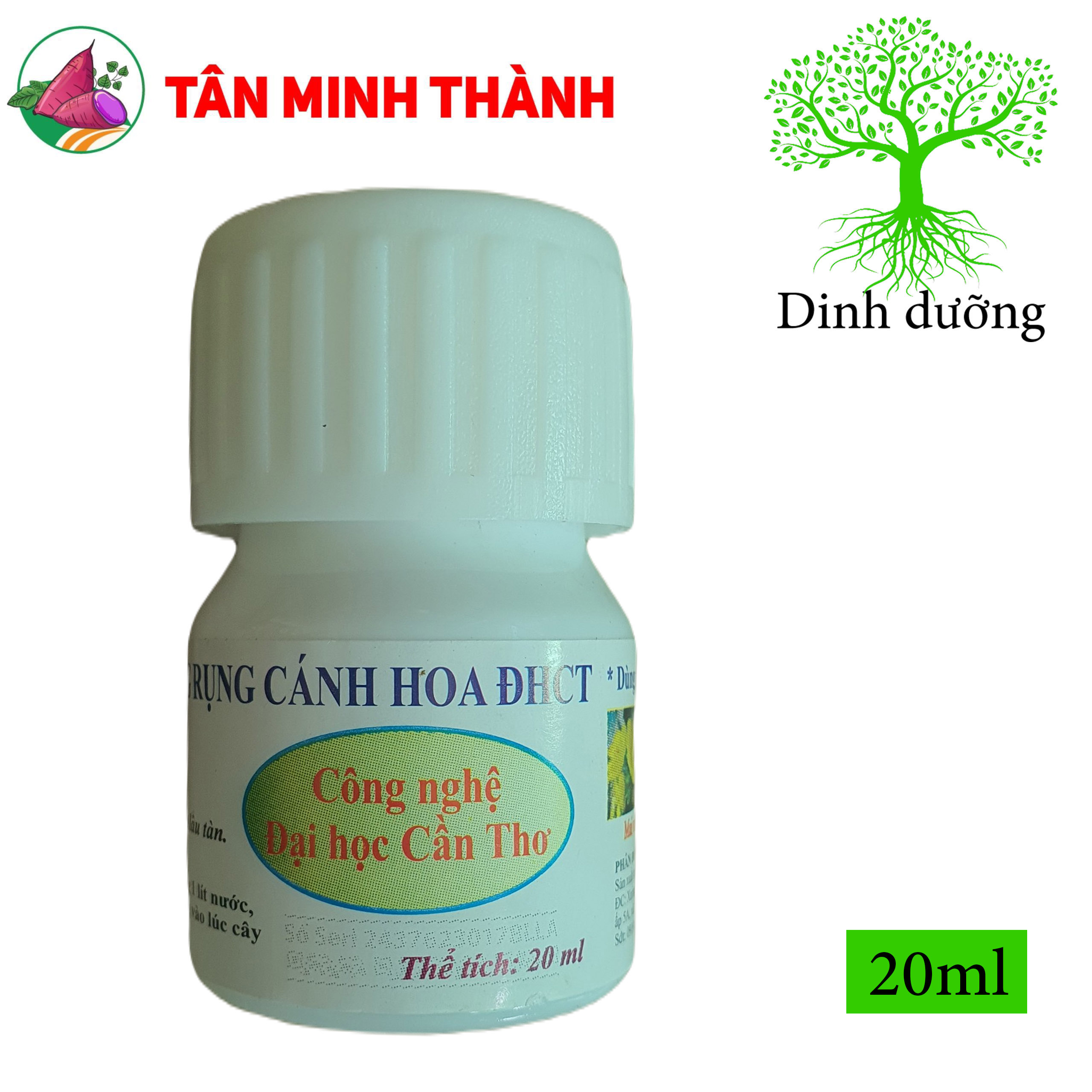 Chất Chống Rụng Cánh Hoa - Đại Học Cần Thơ - Thuốc giữ hoa lâu tàn, dùng cho hoa mai vàng, hoa lang, hoa giấ