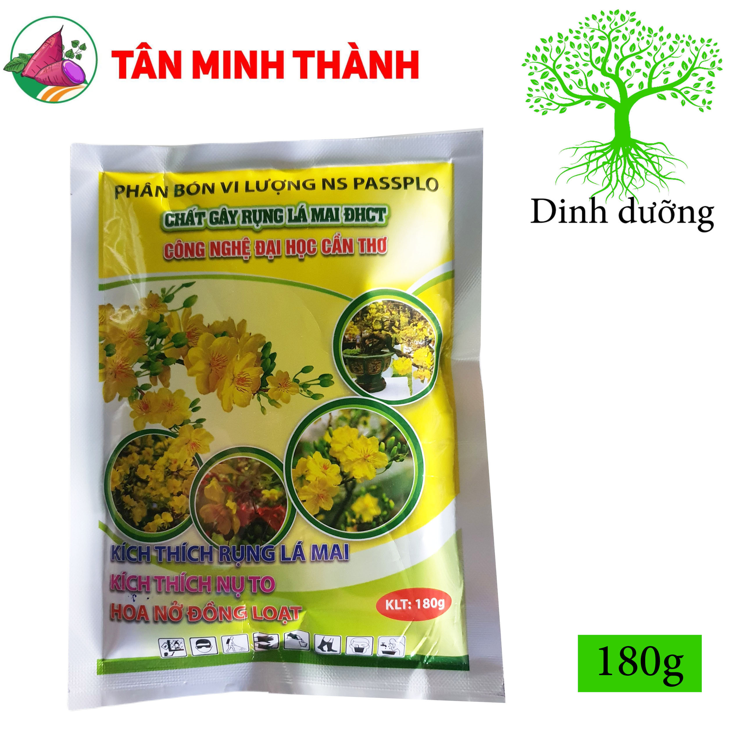Chất Rụng Lá Mai Vàng Đại Học Cần Thơ - Kích thích nụ to, hoa nở đồng loạt, mai vàng nhiều hoa