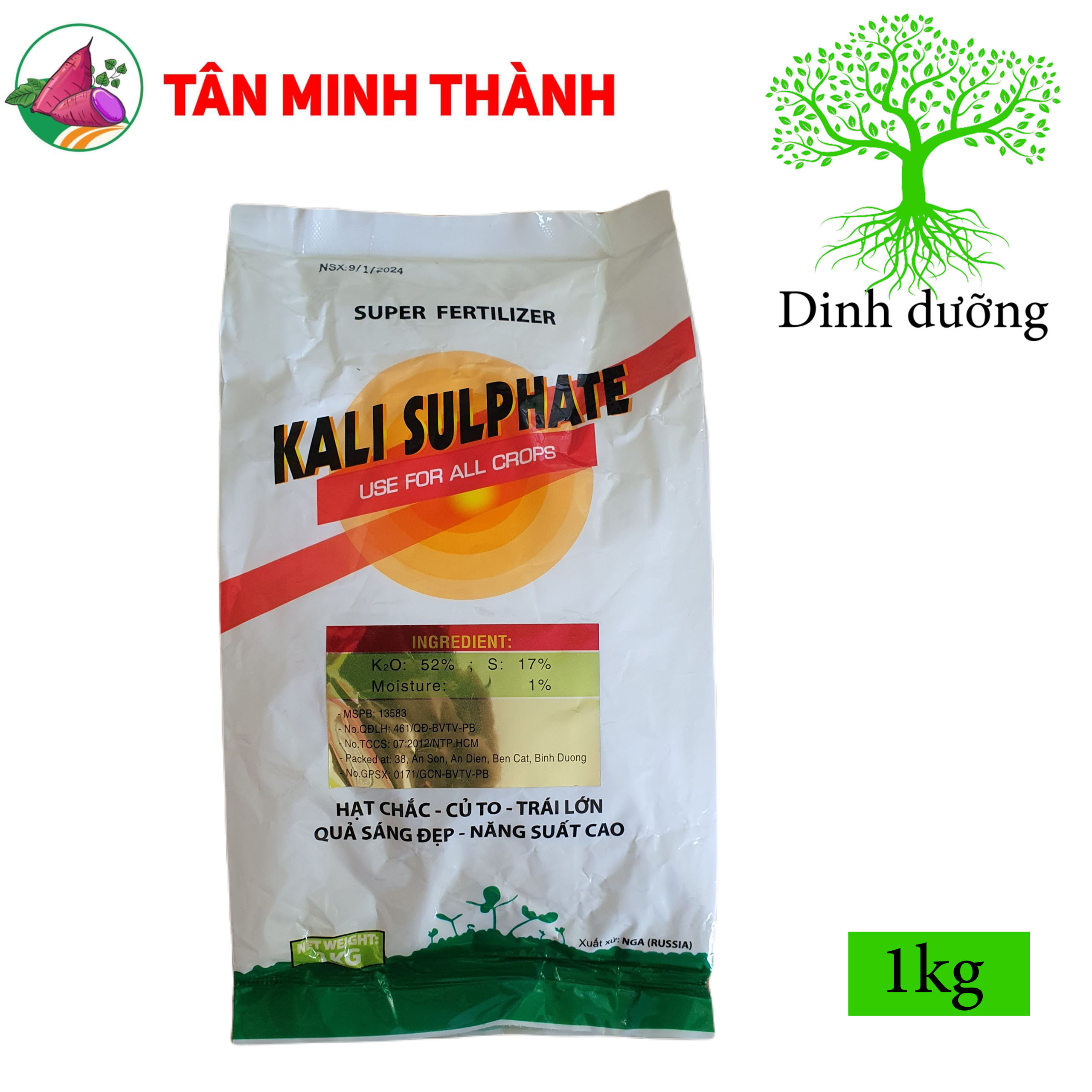 Kali Tan - Thuốc to củ, chắc củ, ngọt quả, bóng trái, to hạt, nặng hạt