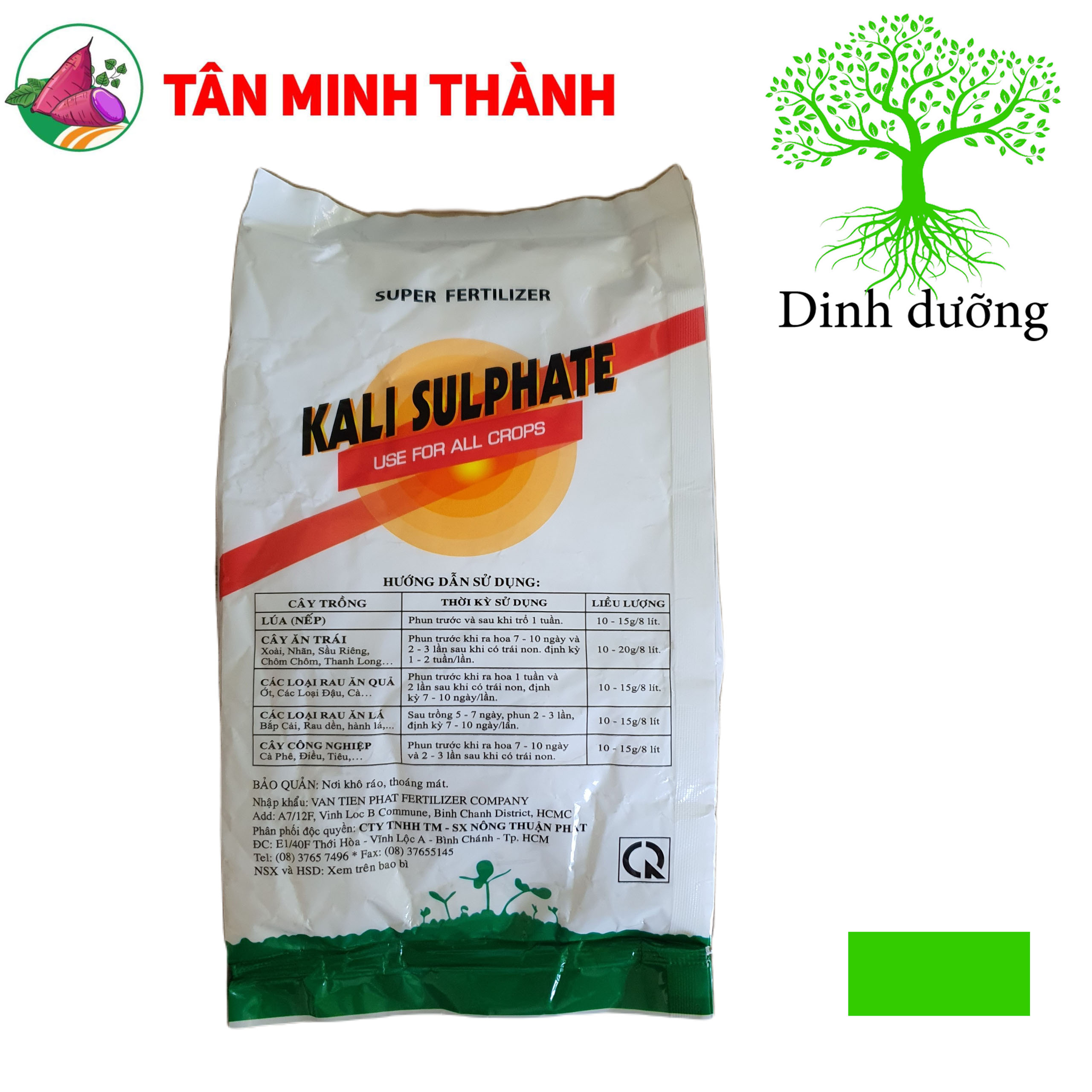 Kali Tan - Thuốc to củ, chắc củ, ngọt quả, bóng trái, to hạt, nặng hạt