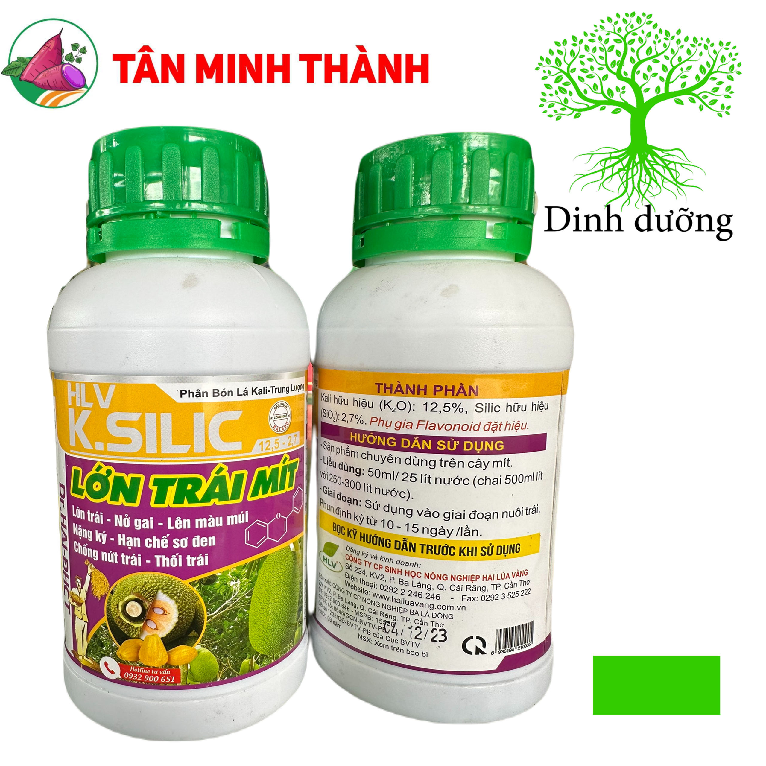 Lớn Trái Mít - Thuốc giúp nở gai, lên màu múi, nặng ký, hạn chế sơ đen, chống nứt trái, thối trái