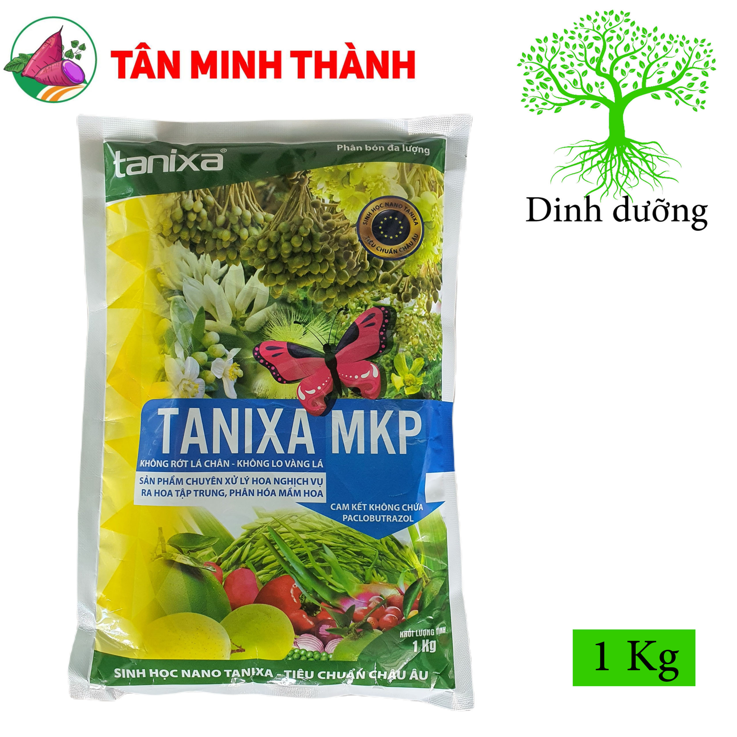 MKP 0-52-34 - Thuốc xử lý ra hoa nghịch vụ, ra hoa tập trung, phân hóa mầm hoa