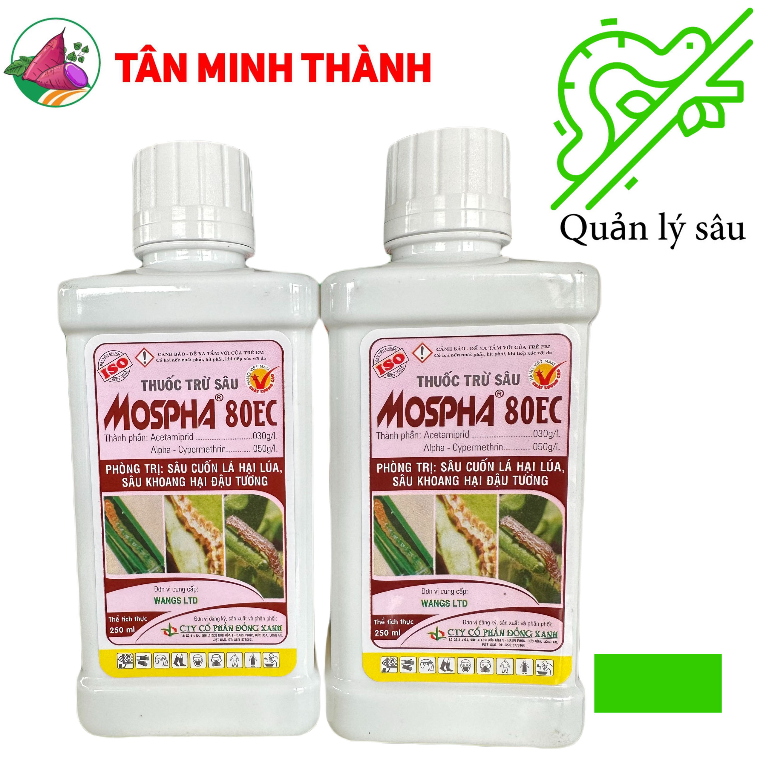 Mospha 80EC - Thuốc đặc trị sâu cuốn lá, sâu khoang, sâu xanh da láng, rệp sáp, rầy xanh