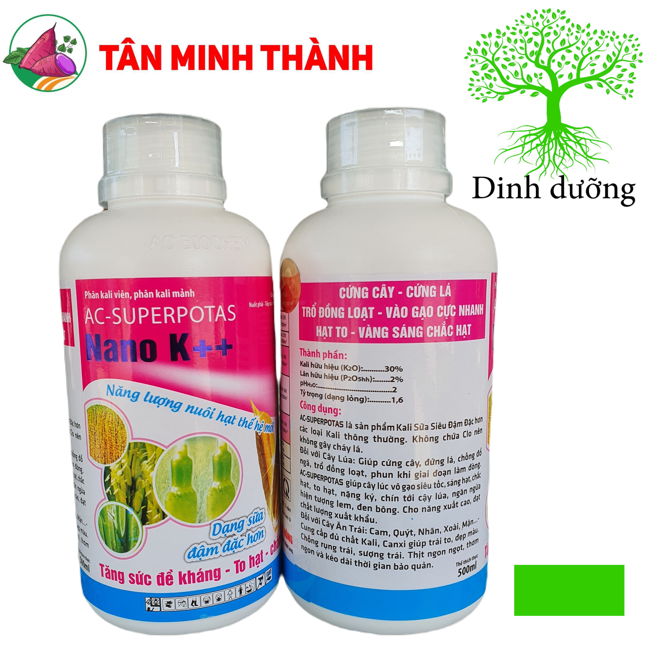 Nano K++ - Thuốc cứng cây, đứng lá, chống ngã, trổ đồng loạt, vô gạo, chắc hạt, to hạt, nặng ký, sáng hạt