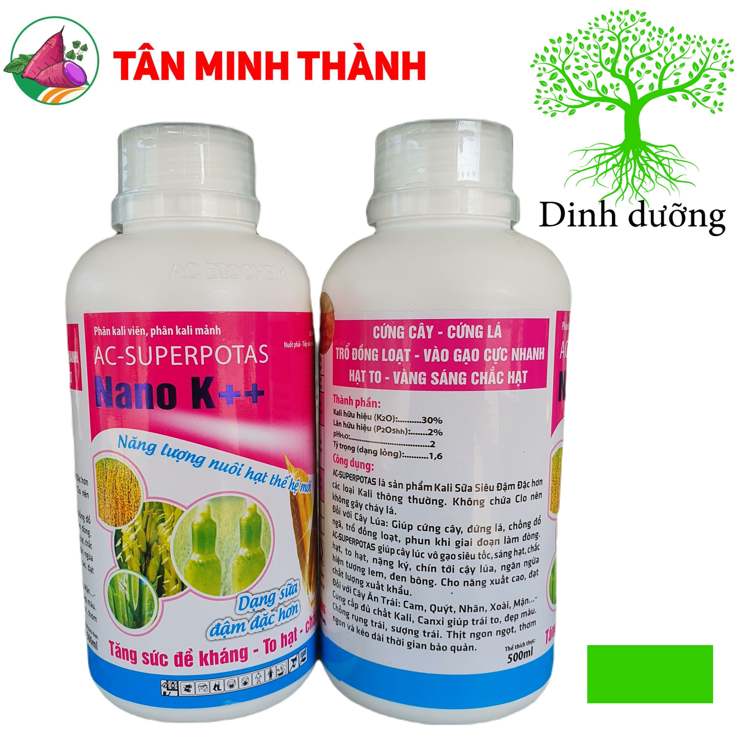 Nano K++ - Thuốc cứng cây, đứng lá, chống ngã, trổ đồng loạt, vô gạo, chắc hạt, to hạt, nặng ký, sáng hạt