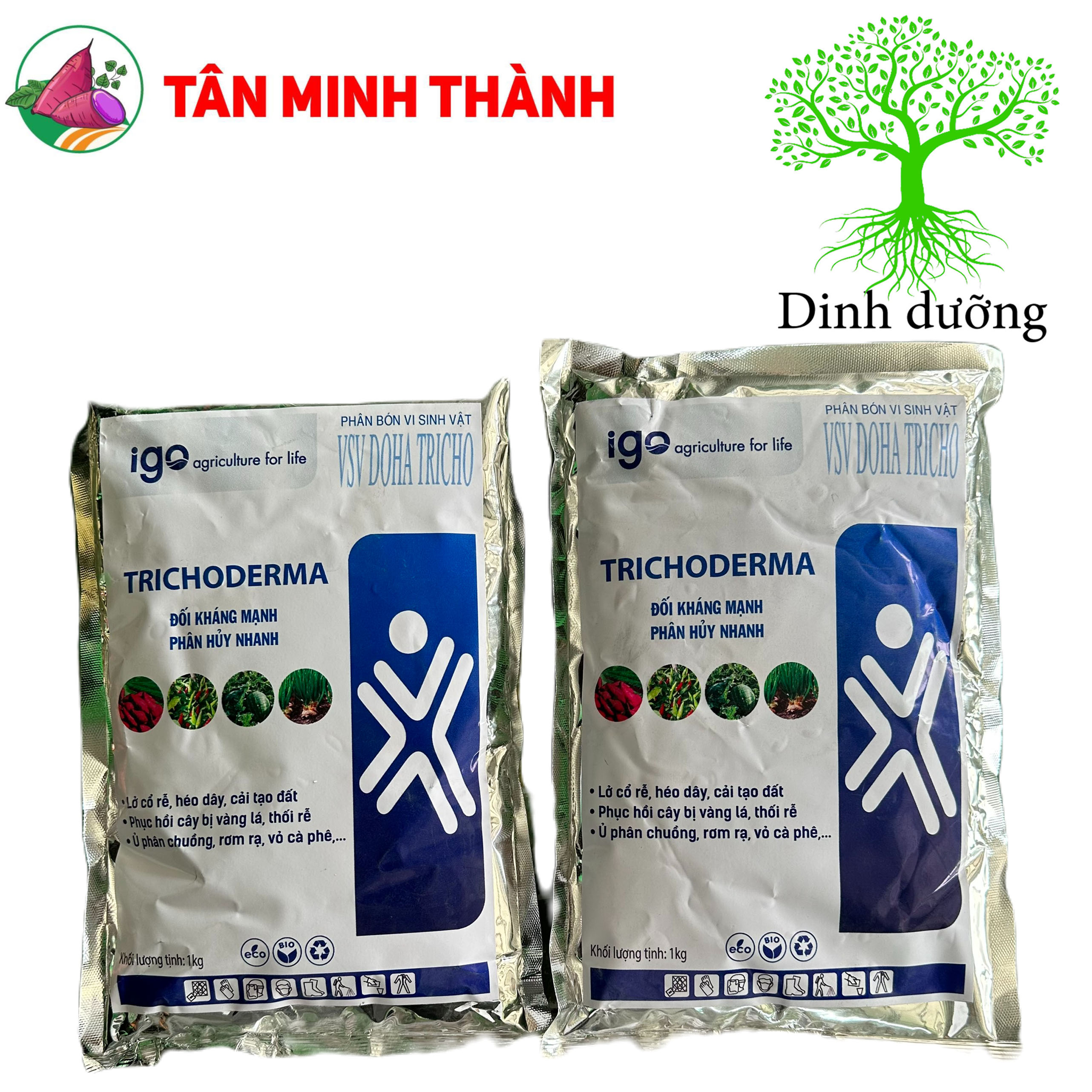 Trichoderma - Thuốc cải tạo đất, phân hủy rơm gạ, phân giải hữu cơ, hạn chế nấm bệnh, tuyến trùng