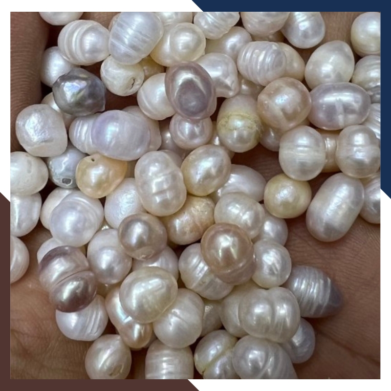 Bán sỉ ngọc trai thô